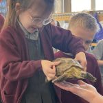 Student holding a tortoise.
