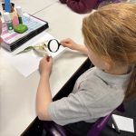 Student looking at a flower through a magnifying glass.