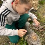 Students studying an old nest.